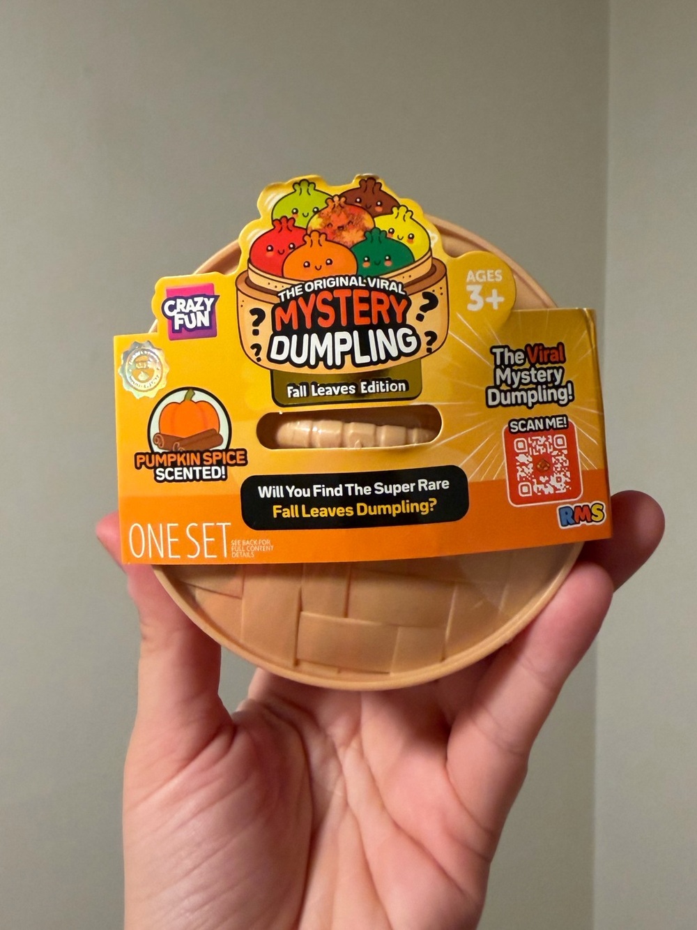 RMS Mystery Dumpling – Fall Leaves Edition 🍂🎃 (1PC)